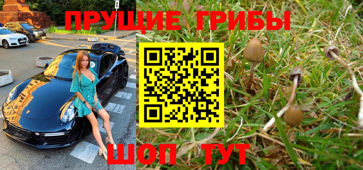 Галлюциногенные грибы GOLDEN TEACHER Богородск